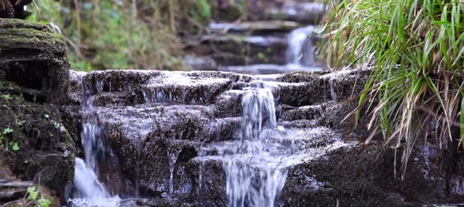Mikro wodospady i głosy natury